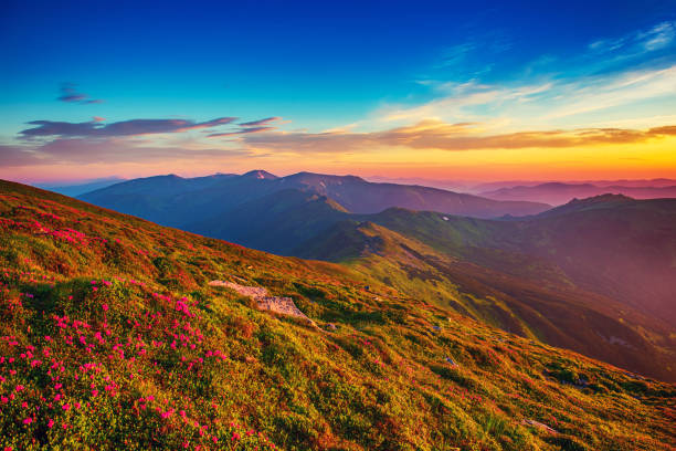 istock Amazing mountain sunrise 1266579003