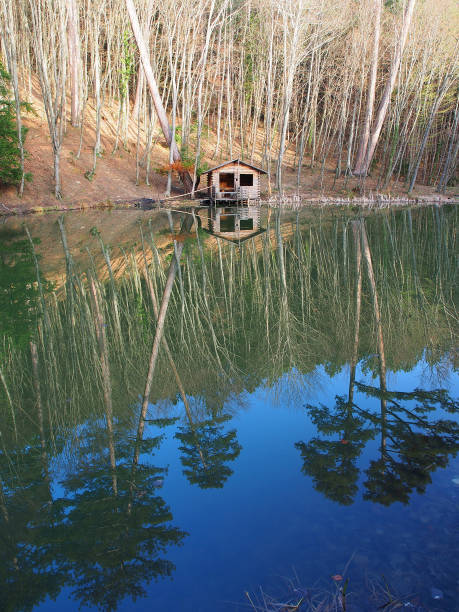 istock Old wooden arbor at the forest lake 1266580609