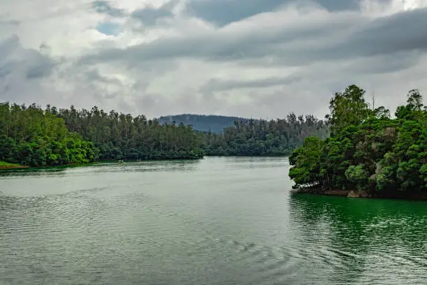 Photo of lake pristine with forest water reflection at the morning