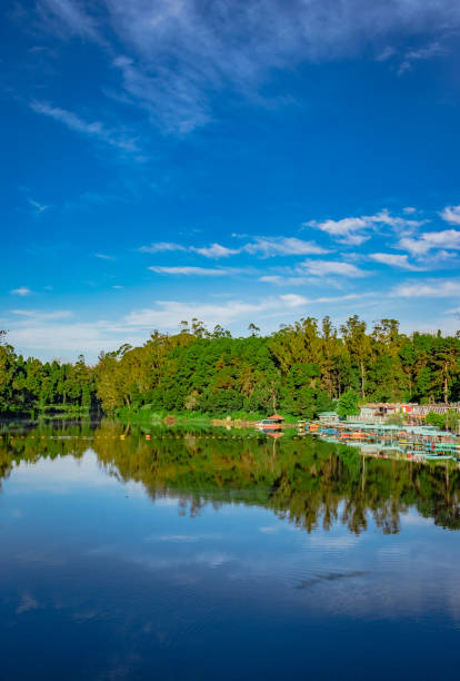 lake pristine with green forest water reflection and bright blue sky at morning image is taken at ooty lake tamilnadu south india. it is showing the beautiful landscape of south india.