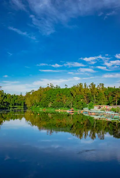 Photo of lake pristine with green forest water reflection and bright blue sky at morning