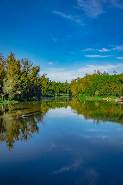 Photo of lake pristine with green forest water reflection and bright blue sky at morning