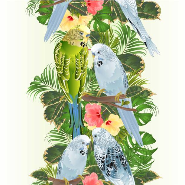 illustrazioni stock, clip art, cartoni animati e icone di tendenza di bordo verticale uccelli di sfondo senza cuciture budgerigars, parrocchetti blu e verdi su un bouquet di rami con ibisco fiori tropicali, palma, philodendron illustrazione vettoriale vintage modificabile - spring birdsong bird seamless