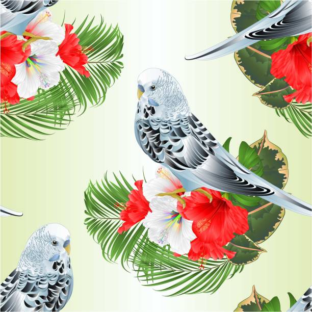 Seamless texture blue parakeet Budgerigar, home pet , pet parakeet or budgie with tropical flowers floral arrangement with beautiful white and red hibiscus and palm,philodendron ficus vintage vector illustration editable Seamless texture blue parakeet Budgerigar, home pet , pet parakeet or budgie with tropical flowers floral arrangement with beautiful white and red hibiscus and palm,philodendron ficus vintage vector illustration editable hand draw blue budgies cartoons stock illustrations