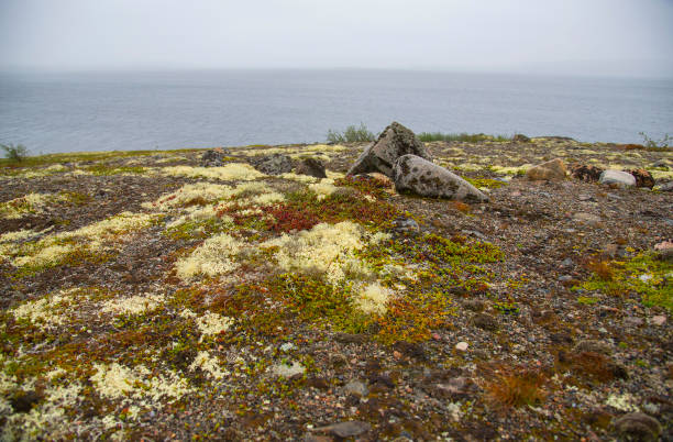istock Kola Peninsula, Russia 1266600003