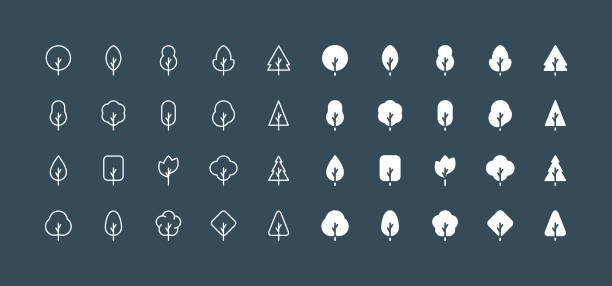 illustrations, cliparts, dessins animés et icônes de flat & line tree icons editable stroke - forest tree pine pine tree