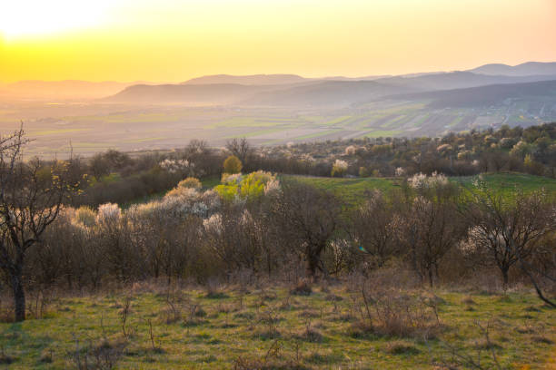 istock Springtime view in the morning on the hill 1266606937