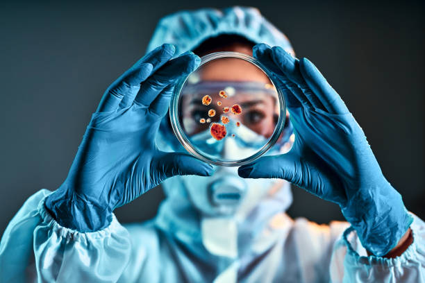 ricercatore in camice da laboratorio, occhiali di sicurezza e guanti di gomma prova campione in piastra petri in laboratorio - petri dish bacterium science laboratory foto e immagini stock