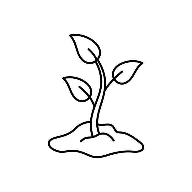 지구의 언덕에 새싹 - hydroponics seed seedling plant stock illustrations