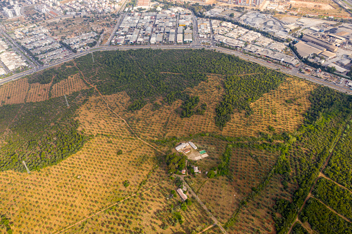 Aerial view of Antalya City Centre behind olive trees.