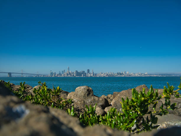 istock The view from Treasure Island to San Francisco 1266609629