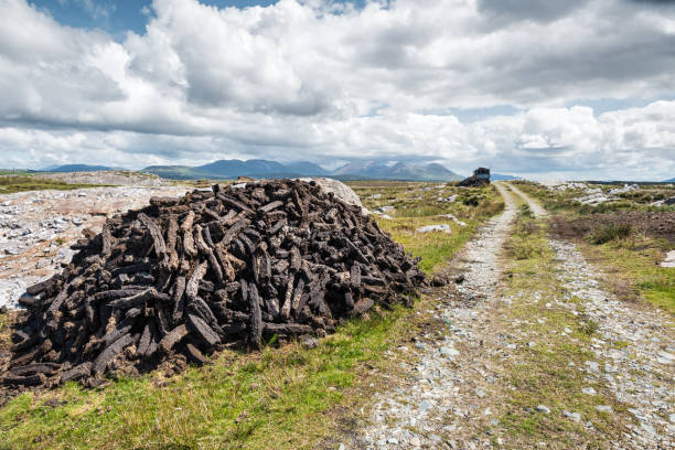 Pile of Irish Peat A pile of turf extracted from a peat bog in rural Ireland bog stock pictures, royalty-free photos & images