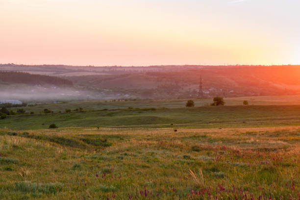 istock Bright beautiful sunny sunset over the meadow. 1266613606