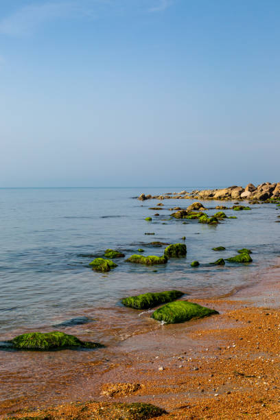 istock Ventnor Beach on the Isle of Wight 1266616044