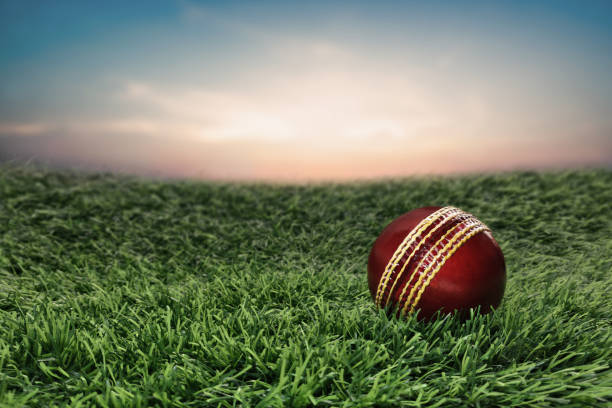 istock Red Leather Cricket Sport Ball on grass with sky 1266616694