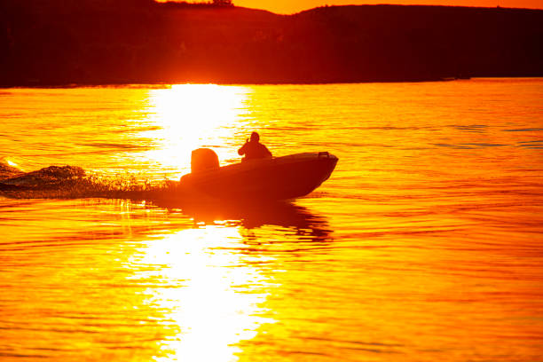 istock Danube Delta view in summer at the sunset 1266617904