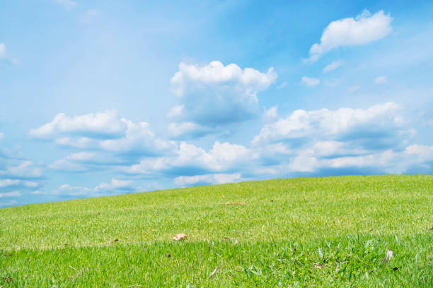 istock Beautiful green meadow field hill with white clouds and blue sky 1266617944