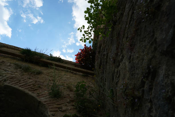This is a artfully built wall with natural stone