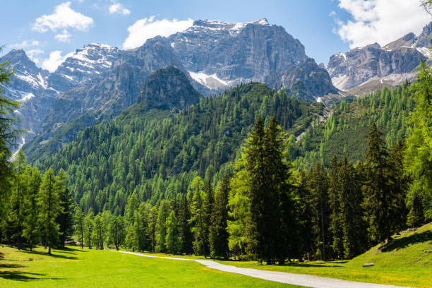 istock Mountainous landscape in Stubaital valley in Austria 1266619313