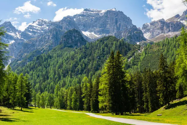 Mountainous landscape in Stubaital valley, toward Ochsenwand mountain (2,700m), in Tirol, Austria.