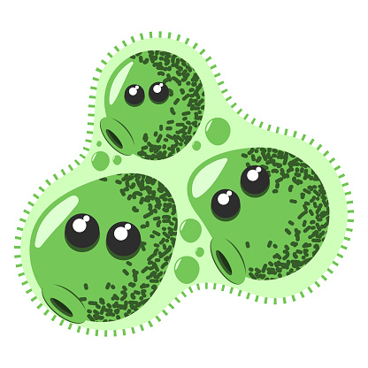 Ilustración de Virus Divertido Y Lindo Bacterias Germen Carácter De Dibujos Animados Microorganismos Microbianos Y Patógenos Aislados Sobre Fondo Blanco y más Vectores Libres de Derechos de Antihigiénico - iStock Ilustración de Virus Divertido Y Lindo Bacterias Germen Carácter De Dibujos Animados Microorganismos Microbianos Y Patógenos Aislados Sobre Fondo Blanco y más Vectores Libres de Derechos de Antihigiénico - iStock