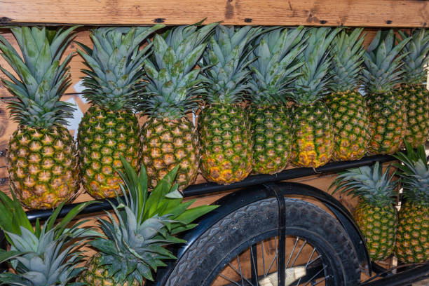 Fresh pineapples kept for sale in a small vehicle that is powered by hand