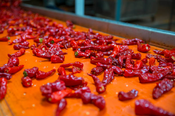 istock paprika production factory 1266631936