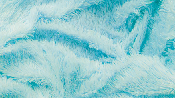istock delicate soft background of plush fabric folds on white background. Copy space. Flat lay. loose folds on the fabric of faux fur of lilac color. Details of warm winter clothes 1266632810