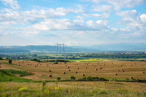 Rural landscape near sunflowers field