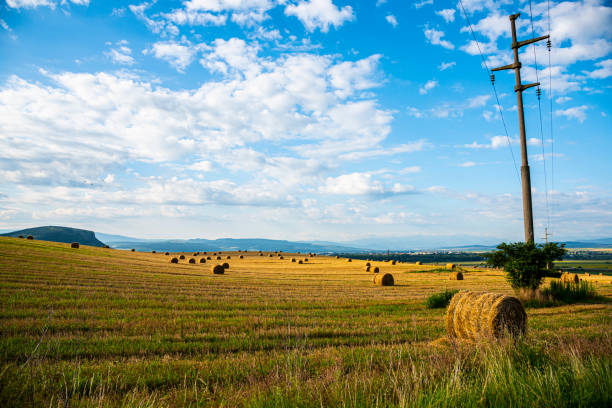 istock Sunny day in the morning summer 1266633064