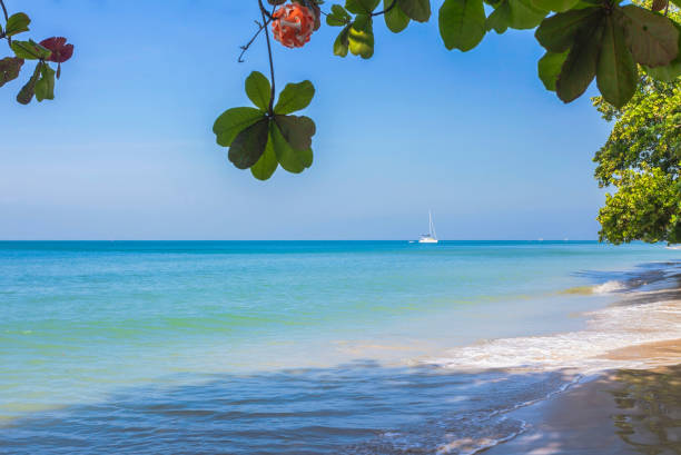 istock White sand beach at Koh Chang island 1266634295