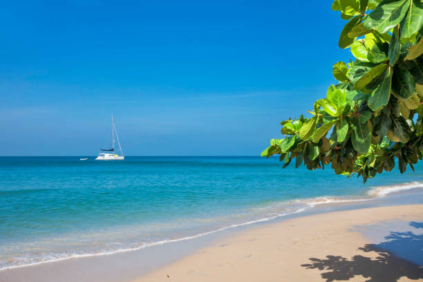 istock White sand beach at Koh Chang island 1266634297