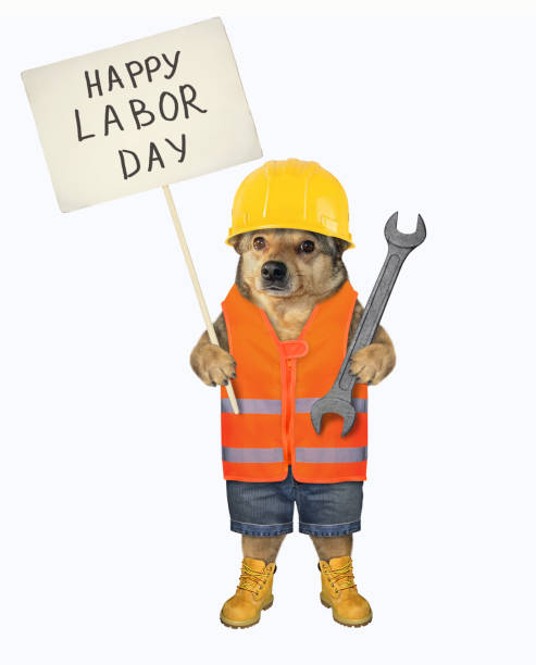 istock Dog holds wrench and sign 1266635497