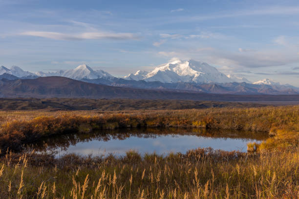 istock Scenic Lanadscape Reflection in Denali in Autumn 1266638571
