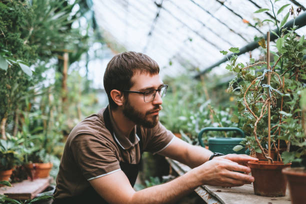 istock Young man gardener environmentalist caring for plants in greenhouse 1266641124
