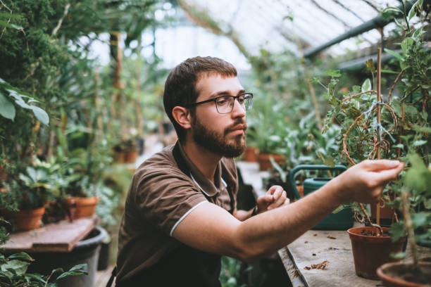 istock Young man gardener environmentalist caring for plants in greenhouse 1266642333