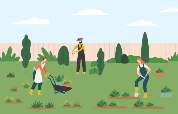 People gardening, woman and man farmers agricultural workers growing plants and flowers on lawn or backyard People gardening, woman and man farmers agricultural workers growing plants and flowers on lawn or backyard. Character pulling wheelbarrow with pots, man working with scissors vector illustration yard grounds illustrations stock illustrations
