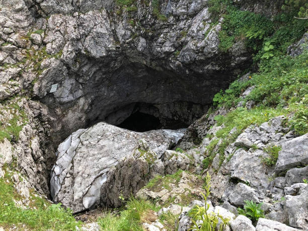 istock a glacier in the alps at summer 1266648418