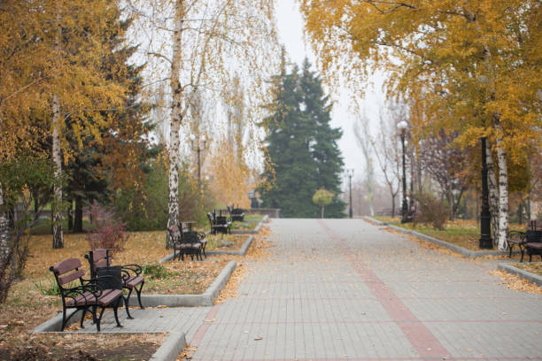 istock Park with bench on alley in yellow autumn. 1266649432