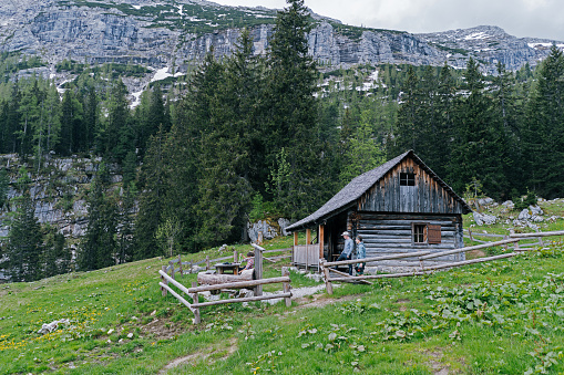 an old little crooked hut in the alps
