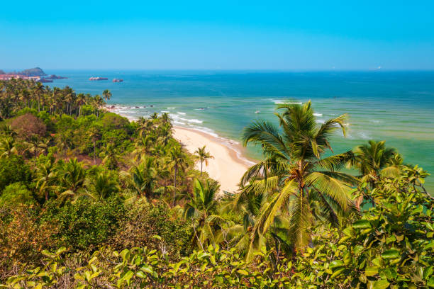 istock Goa beach aerial view, India 1266651134