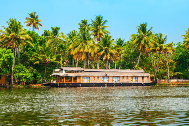 istock Houseboat in Alappuzha backwaters, Kerala 1266651696