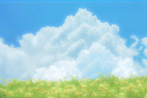 Clouds and Clover Field Background - Sunny Summer Day - Nature Outdoors - Soft Focus.