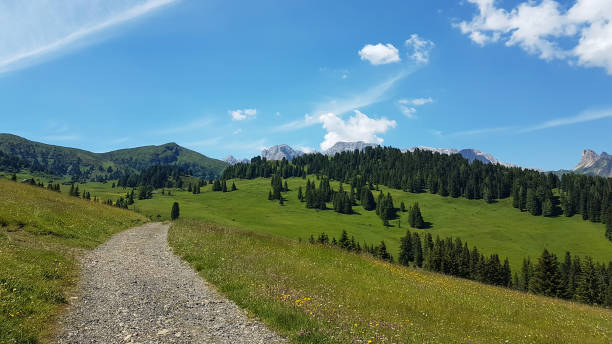 istock Alps landscape tyrol mountains hiking path panorama view 1266653502
