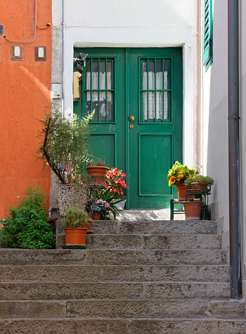 Front door of a house decorated with plants and flowers in a historic district