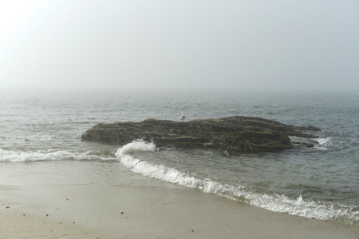 beach rocks mist