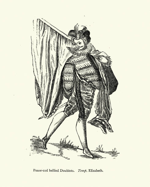 illustrations, cliparts, dessins animés et icônes de mode de mens élisabétha mésène, doublet à ventre de morue de poise - peasecod