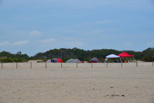 Assateague Island Tent Campsite A colorful array of tent domes peek over the sand dunes at the assateague island national seashore on a pretty clear summer morning eastern shore sand sand dune beach stock pictures, royalty-free photos & images