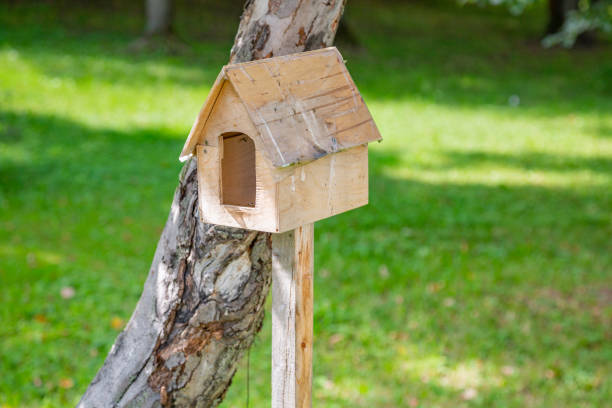 istock Empty feeder for birds in the park 1266660628