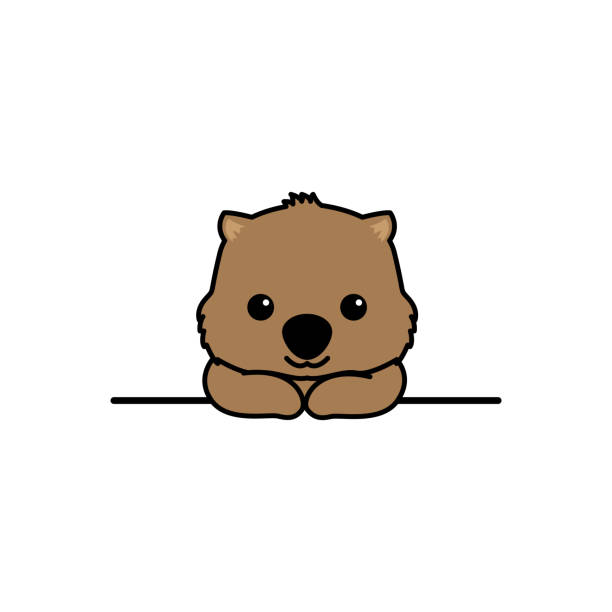 симпатичный вомбат улыбается над стеной мультфильм, вектор иллюстрации - wombat stock illustrations